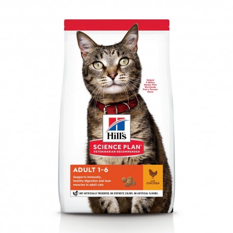 Veterinary Diet (Royal Canin) Cat Urinary S/O Mousse Sachet repas Royal  Canin - Vétorino