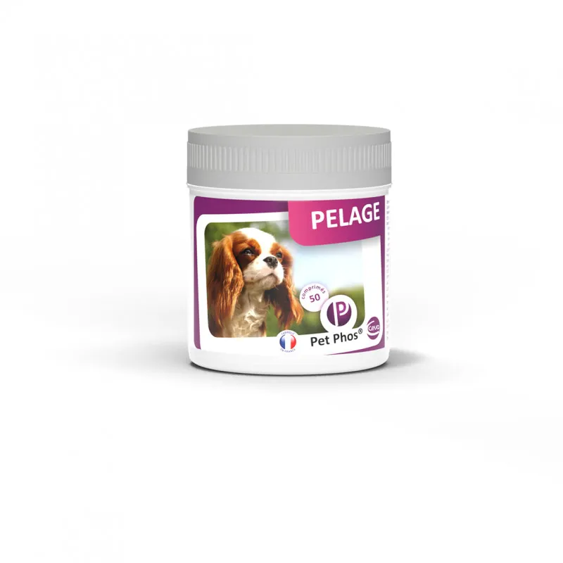 Pet-phos Pelage Chien