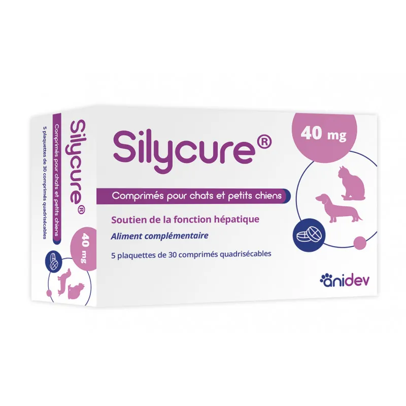 Silycure 40 mg