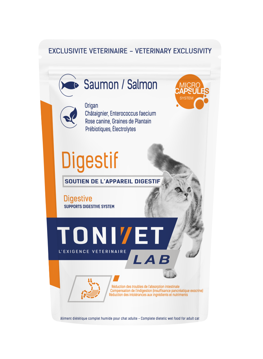 Hill's Vet Essentials Chat Multi-Benefit + Digestion Adult 1+ Saumon