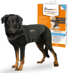 ThunderShirt gilet