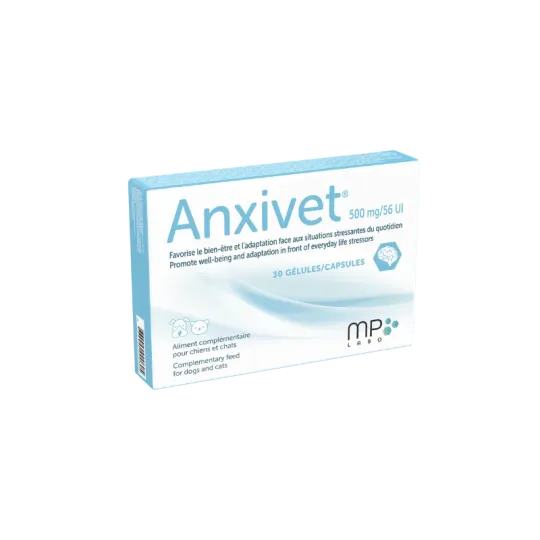 Anxivet 500 mg en gélules