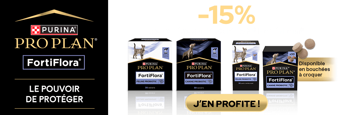 Bannière promotions proplan