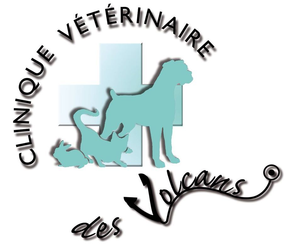 veterinaire aurillac - clinique des volcans aurillac