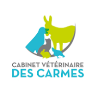 des Carmes