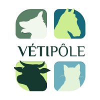 Vétipôle